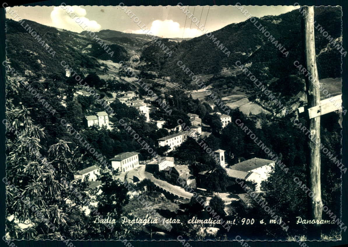 Arezzo Badia Prataglia Foto FG cartolina JK0072 – fronte