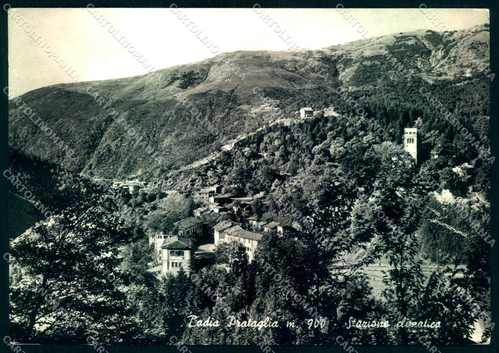 Arezzo Badia Prataglia Foto FG cartolina JK0075 – fronte