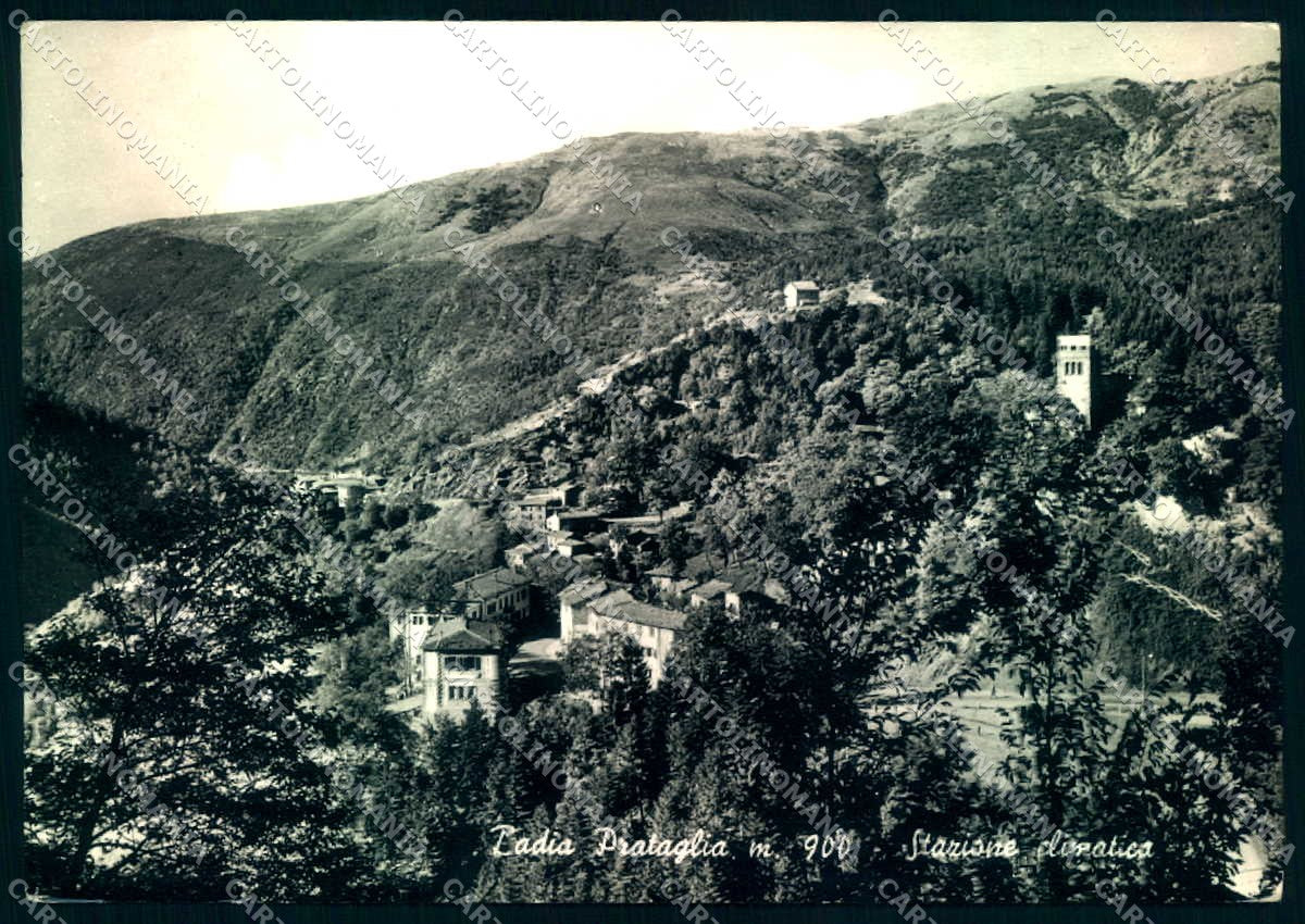 Arezzo Badia Prataglia Foto FG cartolina JK0075 – fronte