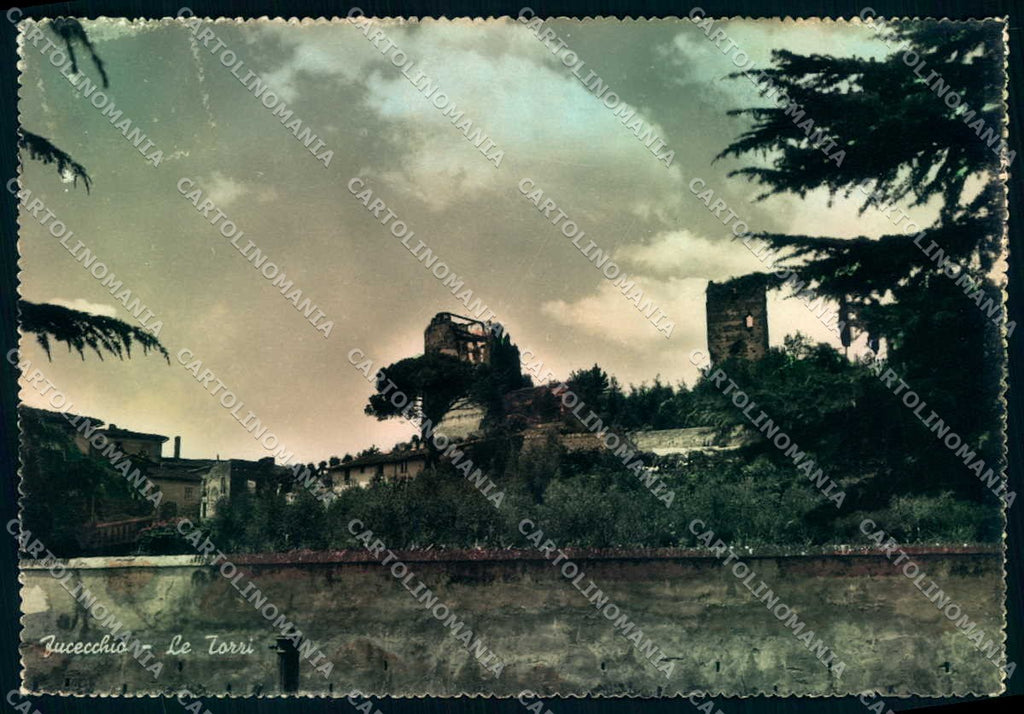 Firenze Fucecchio Torri Foto FG cartolina JK0118 – fronte