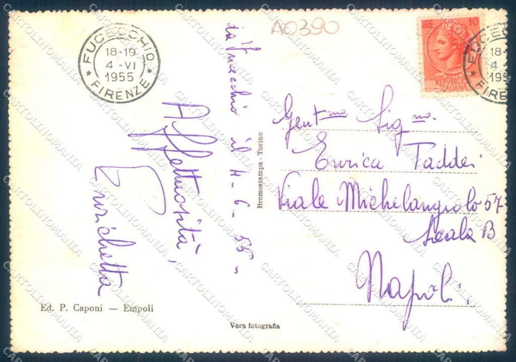Firenze Fucecchio Torri Foto FG cartolina JK0118 – retro