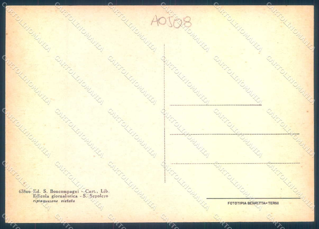 Arezzo San Sepolcro Viale Armando Diaz FG cartolina JK0137 – retro