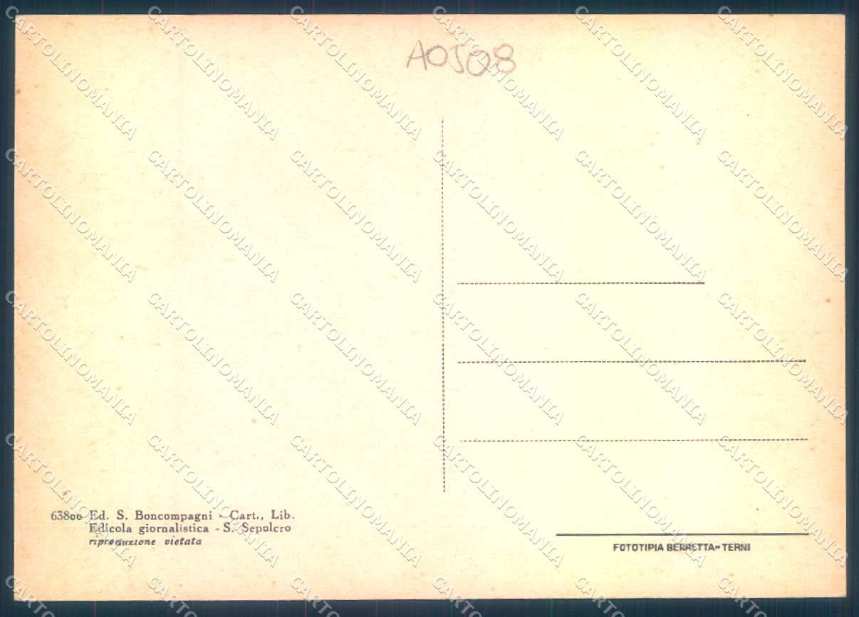 Arezzo San Sepolcro Viale Armando Diaz FG cartolina JK0137 – retro