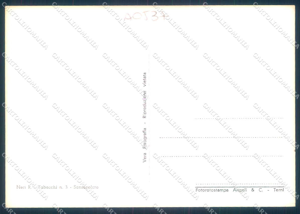 Arezzo San Sepolcro Stabilimento Buitoni Foto FG cartolina JK0143 – retro