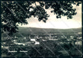 Arezzo San Sepolcro Foto FG cartolina JK0145 – fronte