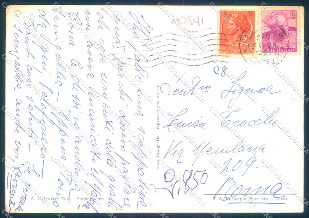 Arezzo San Sepolcro Foto FG cartolina JK0145 – retro