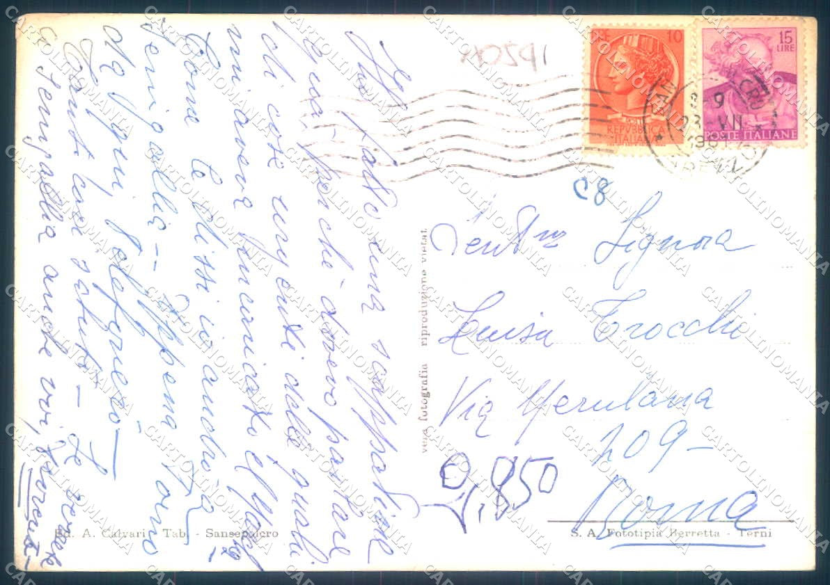 Arezzo San Sepolcro Foto FG cartolina JK0145 – retro