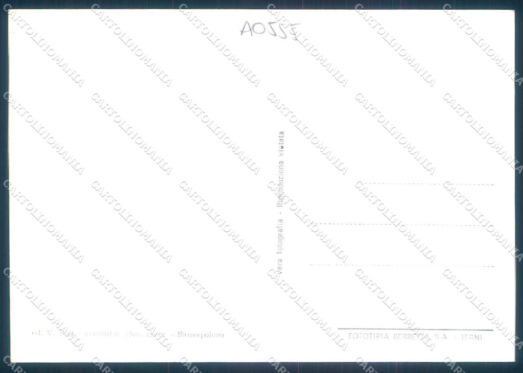 Arezzo San Sepolcro Cattedrale Fortezza Foto FG cartolina JK0155 – retro