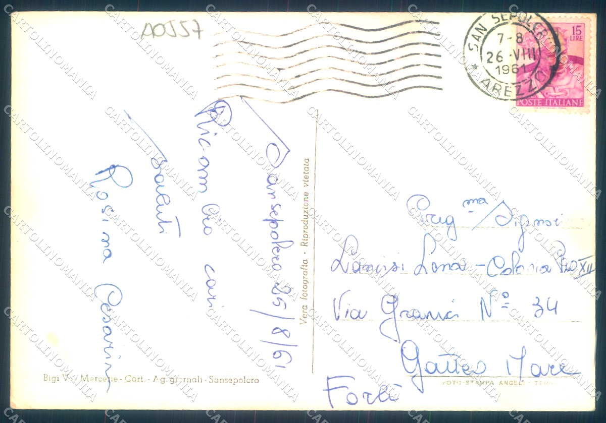 Arezzo San Sepolcro Collegio Piazza Garibaldi Foto FG cartolina JK0156 – retro