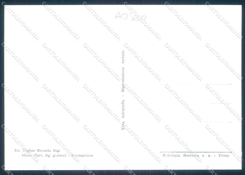 Arezzo San Sepolcro Foto FG cartolina JK0160 – retro