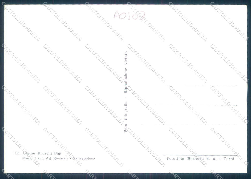 Arezzo San Sepolcro Foto FG cartolina JK0162 – retro