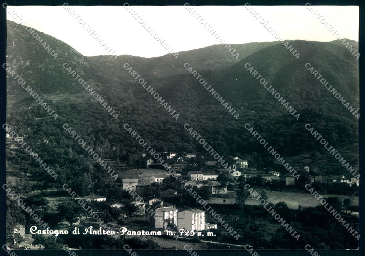 Firenze S. Godenzo Castagno di Andrea Foto FG cartolina JK0175 – fronte