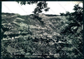 Firenze S. Godenzo Foto Appennino Tosco Romagnolo FG cartolina JK0179 – fronte