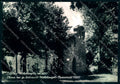 Arezzo Caprese Michelangelo Chiesa Foto FG cartolina JK0226 – fronte