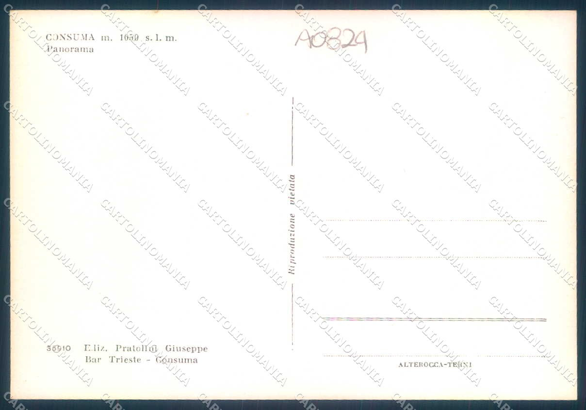 Firenze Consuma Alterocca 36910 FG cartolina JK0229 – retro