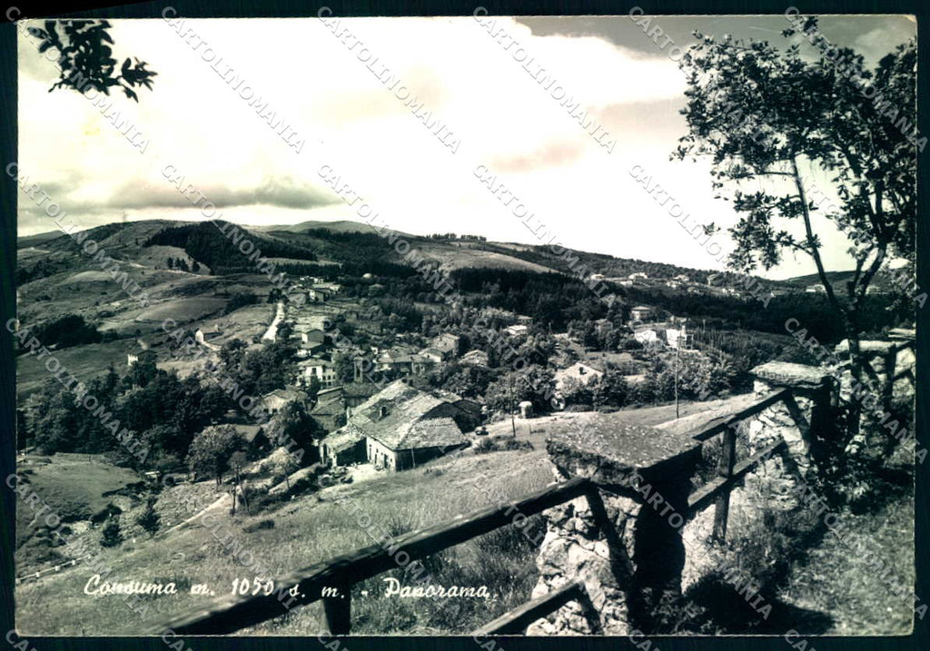 Firenze Consuma Alterocca 36910 Foto FG cartolina JK0234 – fronte