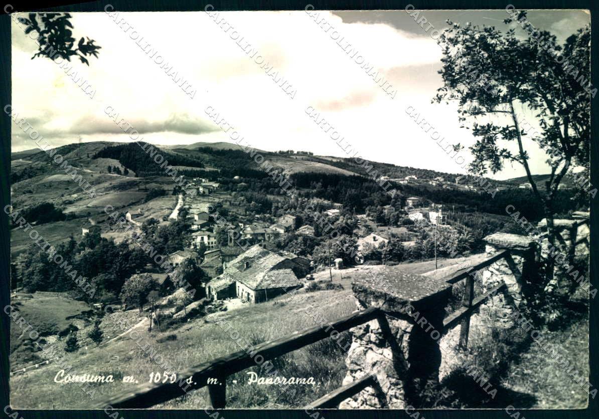 Firenze Consuma Alterocca 36910 Foto FG cartolina JK0234 – fronte