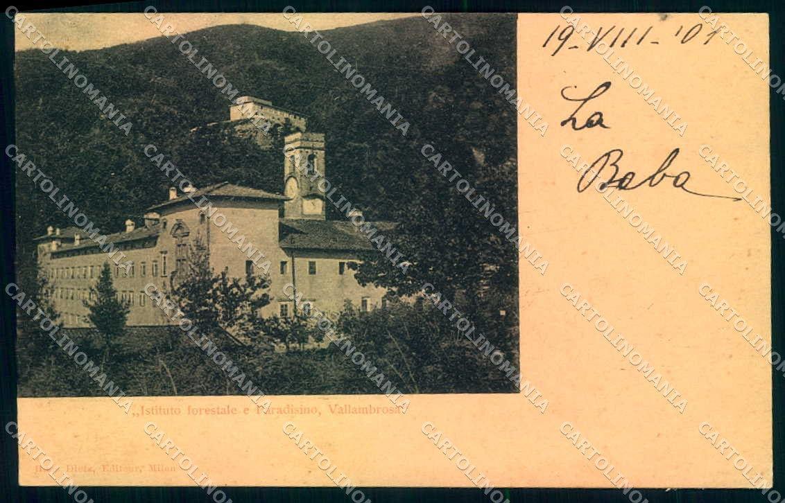 Firenze Vallombrosa Istituto Forestale cartolina JK0281 – fronte