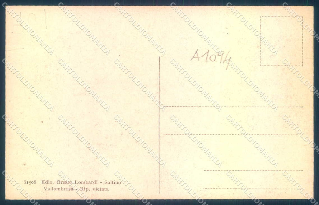 Firenze Vallombrosa Viale del Tunnel cartolina JK0293 – retro
