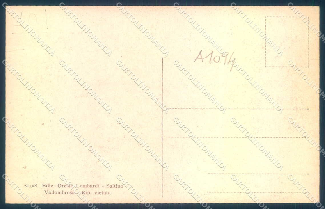 Firenze Vallombrosa Viale del Tunnel cartolina JK0293 – retro