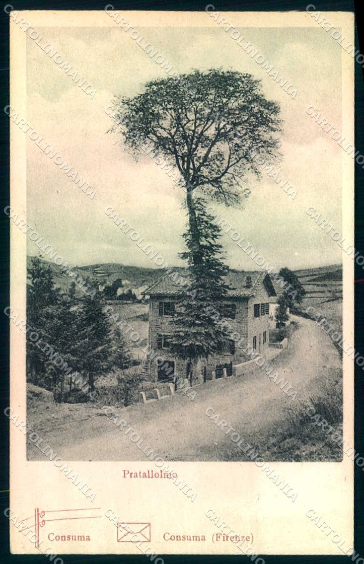 Firenze Pratallolmo Consuma cartolina JK0308 – fronte