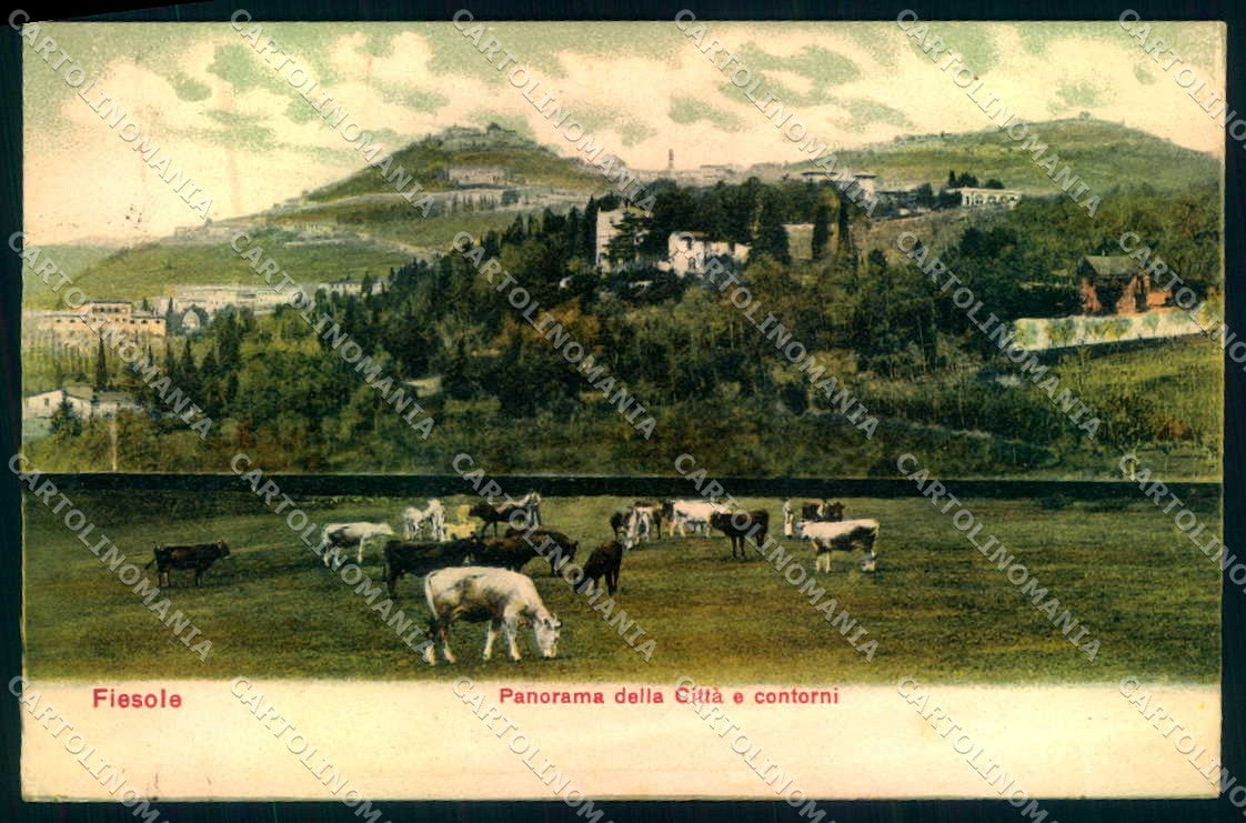Firenze Fiesole cartolina JK0440 – fronte