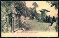 Firenze Fiesole Montesinario Grotta Beato Alessio cartolina JK0484 – fronte