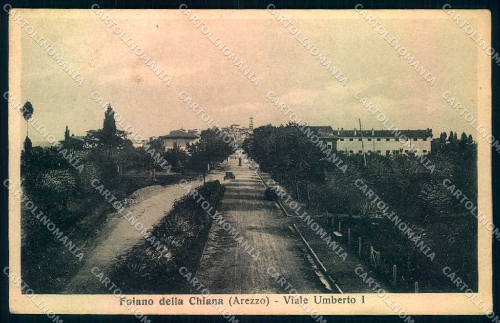 Arezzo Foiano della Chiana Viale Umberto I cartolina JK0537 – fronte