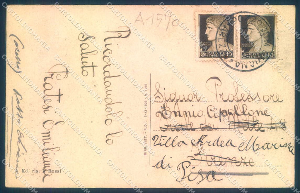 Arezzo Foiano della Chiana Viale Umberto I cartolina JK0537 – retro