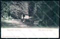 Arezzo Camaldoli Casentino Bosco Alterocca 302 cartolina JK0591 – fronte