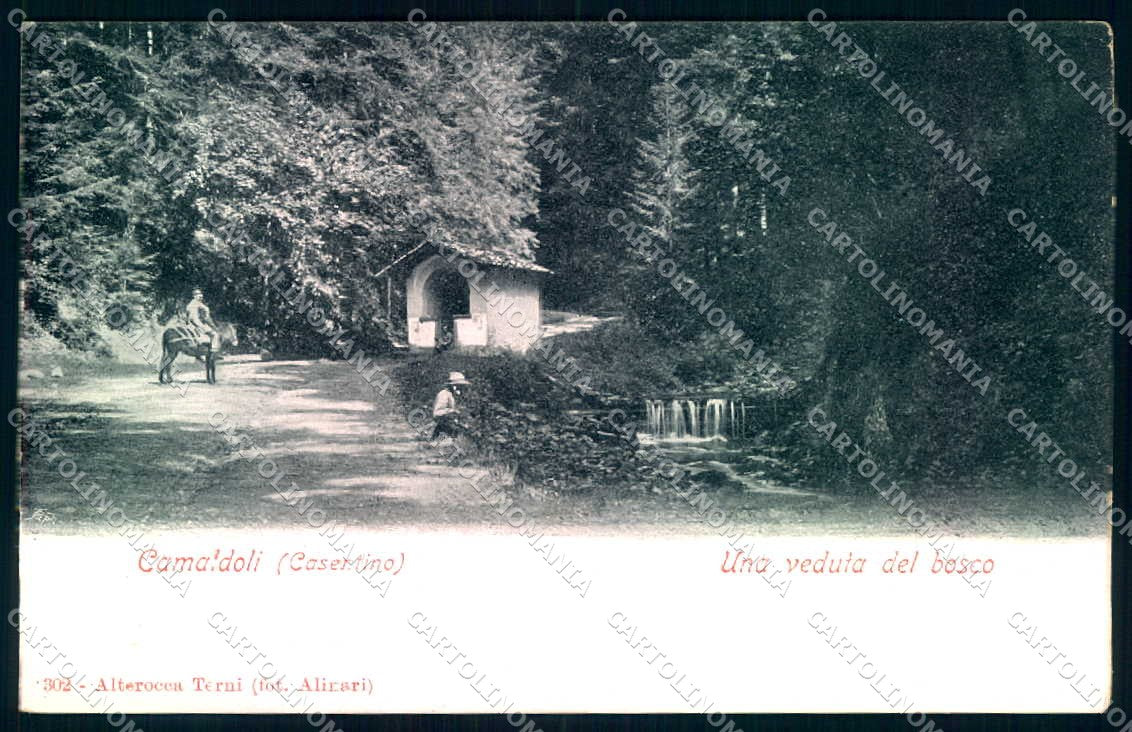 Arezzo Camaldoli Casentino Bosco Alterocca 302 cartolina JK0591 – fronte