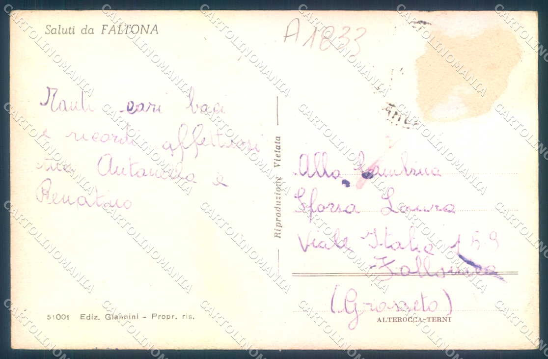 Arezzo Faltona saluti da Alterocca 51001 cartolina JK0631 – retro
