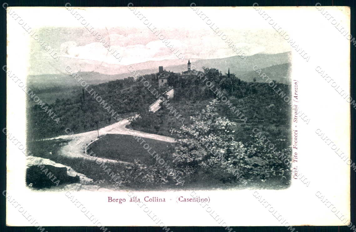 Arezzo Castel S. Niccolò Borgo Collina cartolina JK0636 – fronte