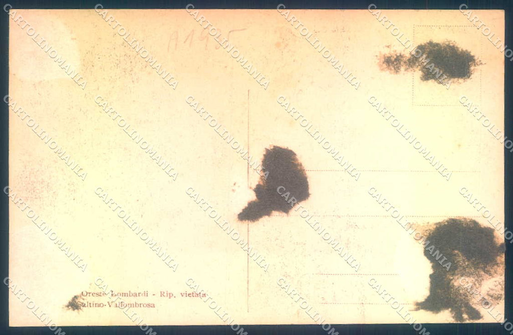 Firenze Vallombrosa Saltino Grand Hotel Villini cartolina JK0664 – retro