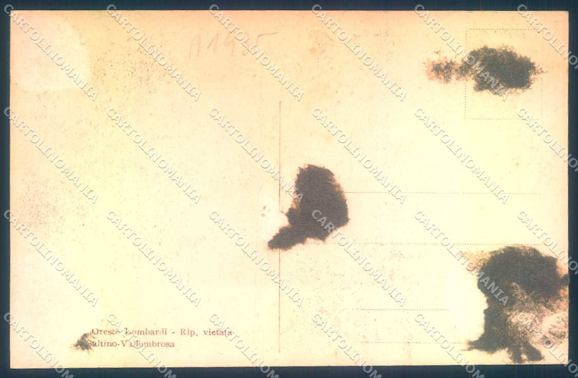 Firenze Vallombrosa Saltino Grand Hotel Villini cartolina JK0664 – retro