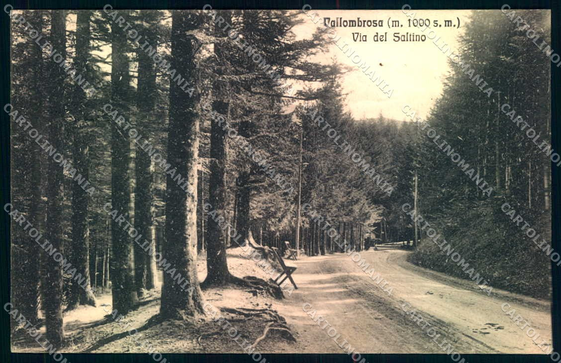 Firenze Vallombrosa Via del Saltino cartolina JK0671 – fronte