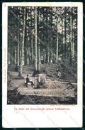 Firenze Vallombrosa Fonte dei Camarlinghi cartolina JK0672 – fronte
