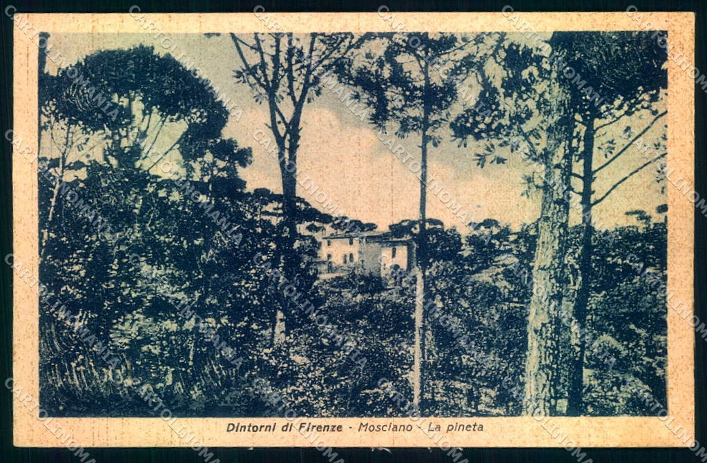 Firenze Mosciano Pineta cartolina JK0711 – fronte