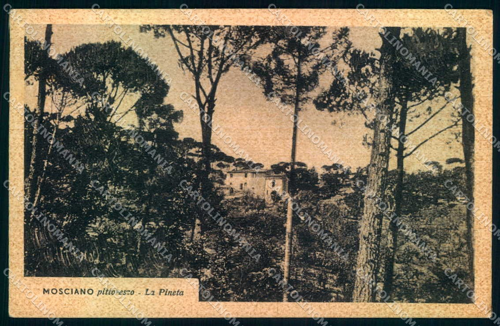 Firenze Mosciano Pineta cartolina JK0712 – fronte