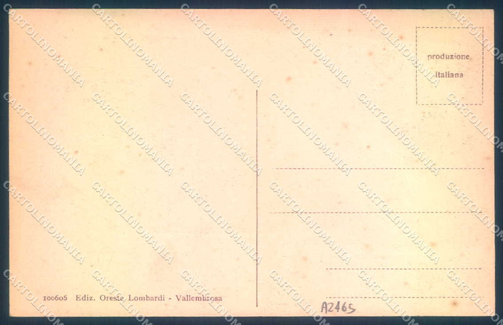 Firenze Vallombrosa Pensione Ristorante Villino Medici cartolina JK0859 – retro