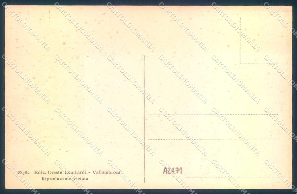 Firenze Vallombrosa Saltino Hotel Milton cartolina JK0863 – retro