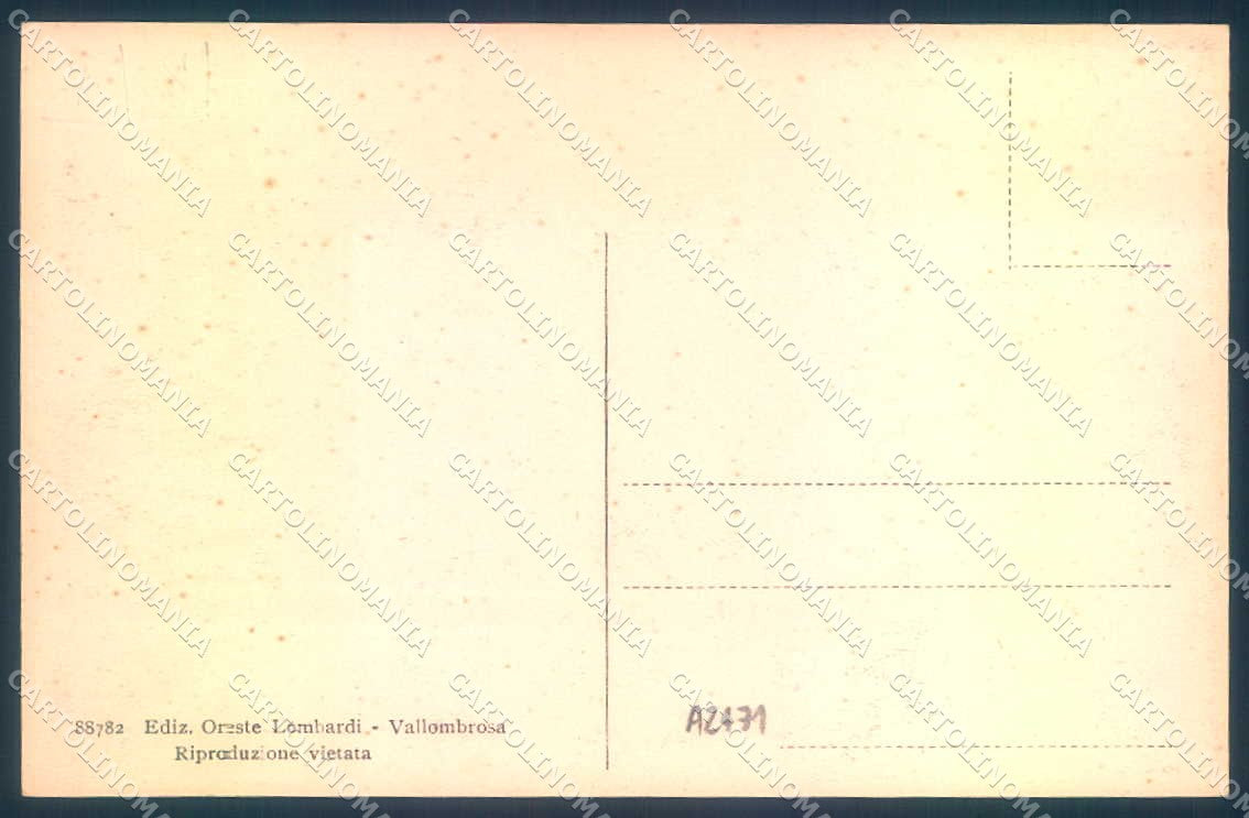 Firenze Vallombrosa Saltino Hotel Milton cartolina JK0863 – retro