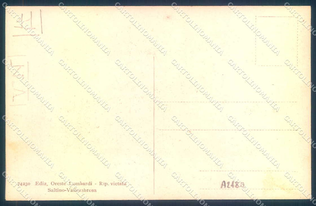Firenze Vallombrosa Abetina cartolina JK0866 – retro