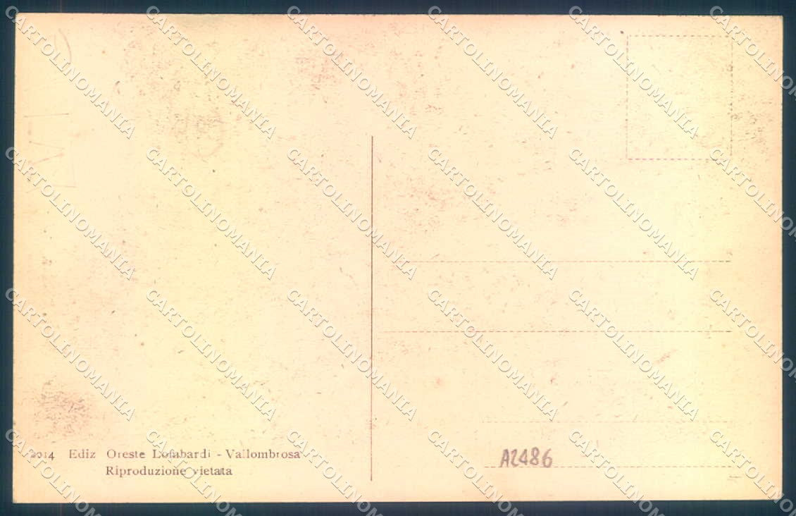 Firenze Vallombrosa Faggio Santo cartolina JK0868 – retro