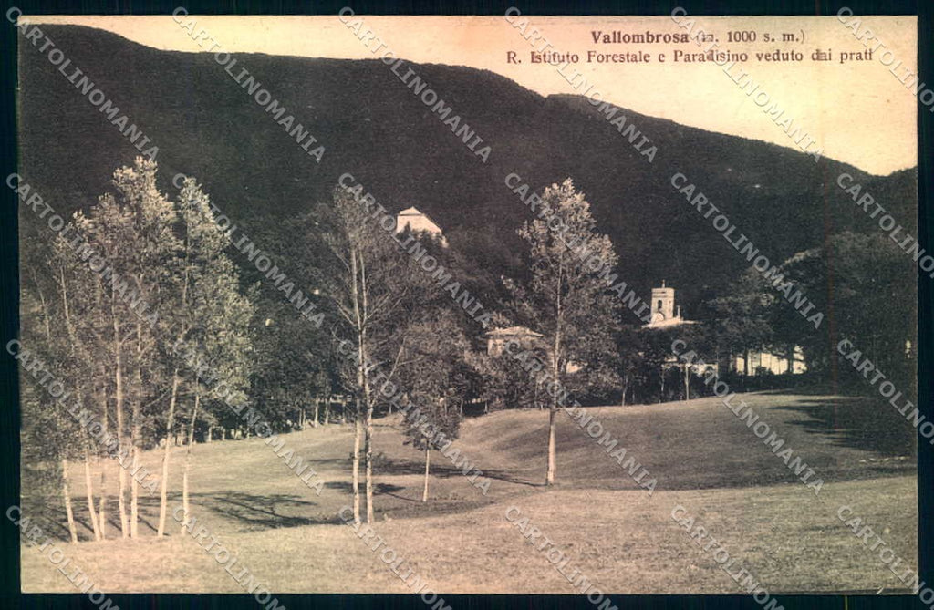 Firenze Vallombrosa Paradisino Istituto Forestale cartolina JK0870 – fronte