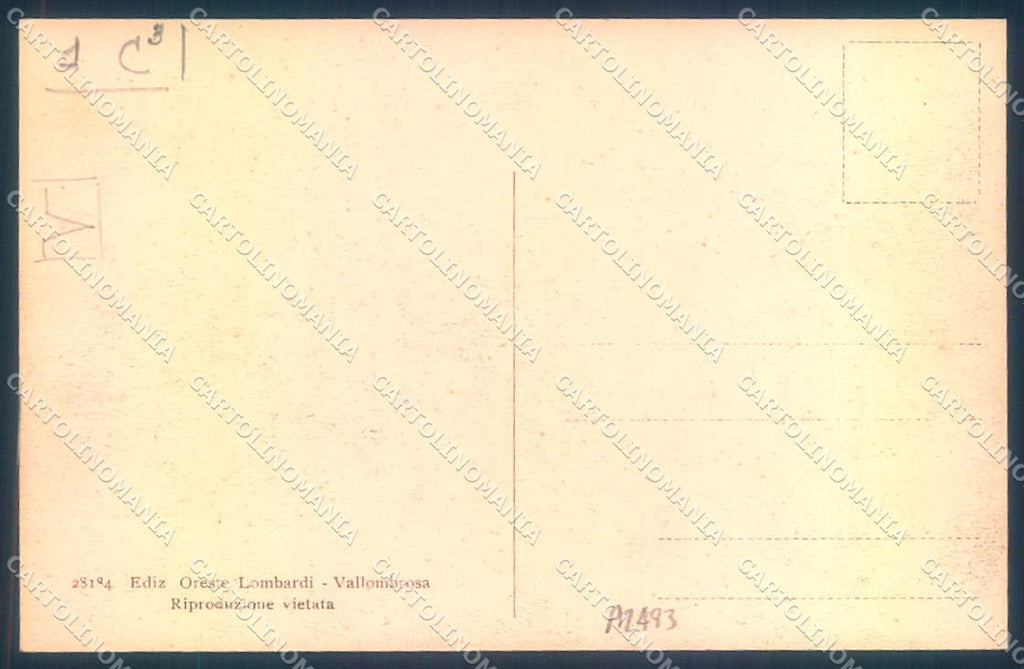 Firenze Vallombrosa Paradisino Istituto Forestale cartolina JK0871 – retro