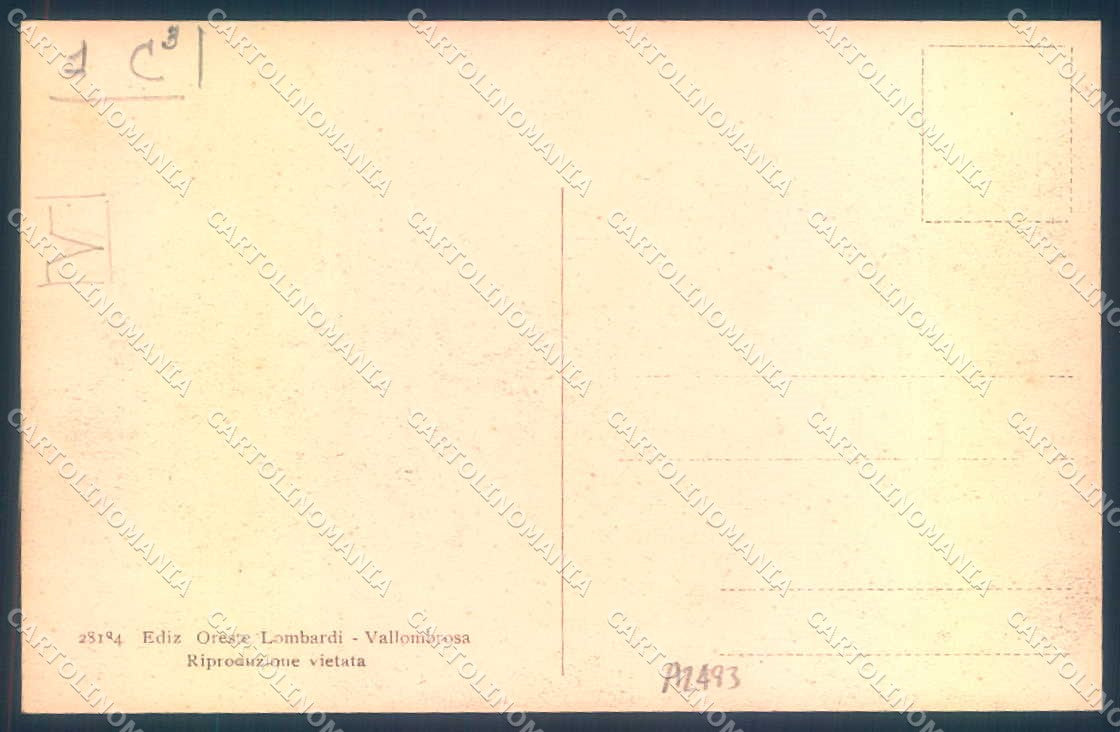 Firenze Vallombrosa Paradisino Istituto Forestale cartolina JK0871 – retro
