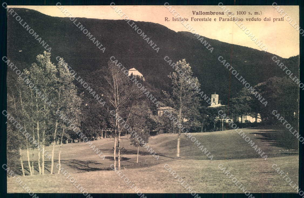 Firenze Vallombrosa Paradisino Istituto Forestale cartolina JK0872 – fronte