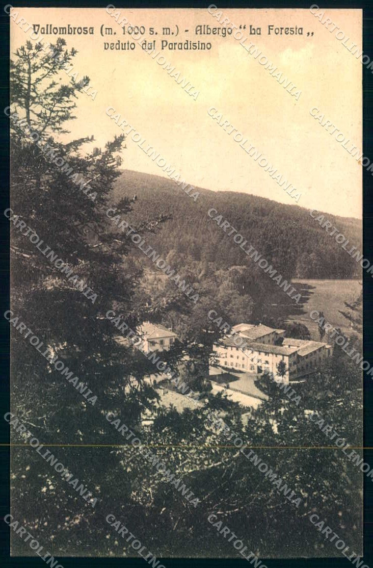 Firenze Vallombrosa Hotel La Foresta cartolina JK0873 – fronte