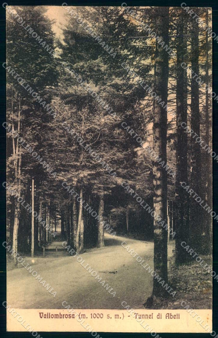 Firenze Vallombrosa Abetina cartolina JK0874 – fronte